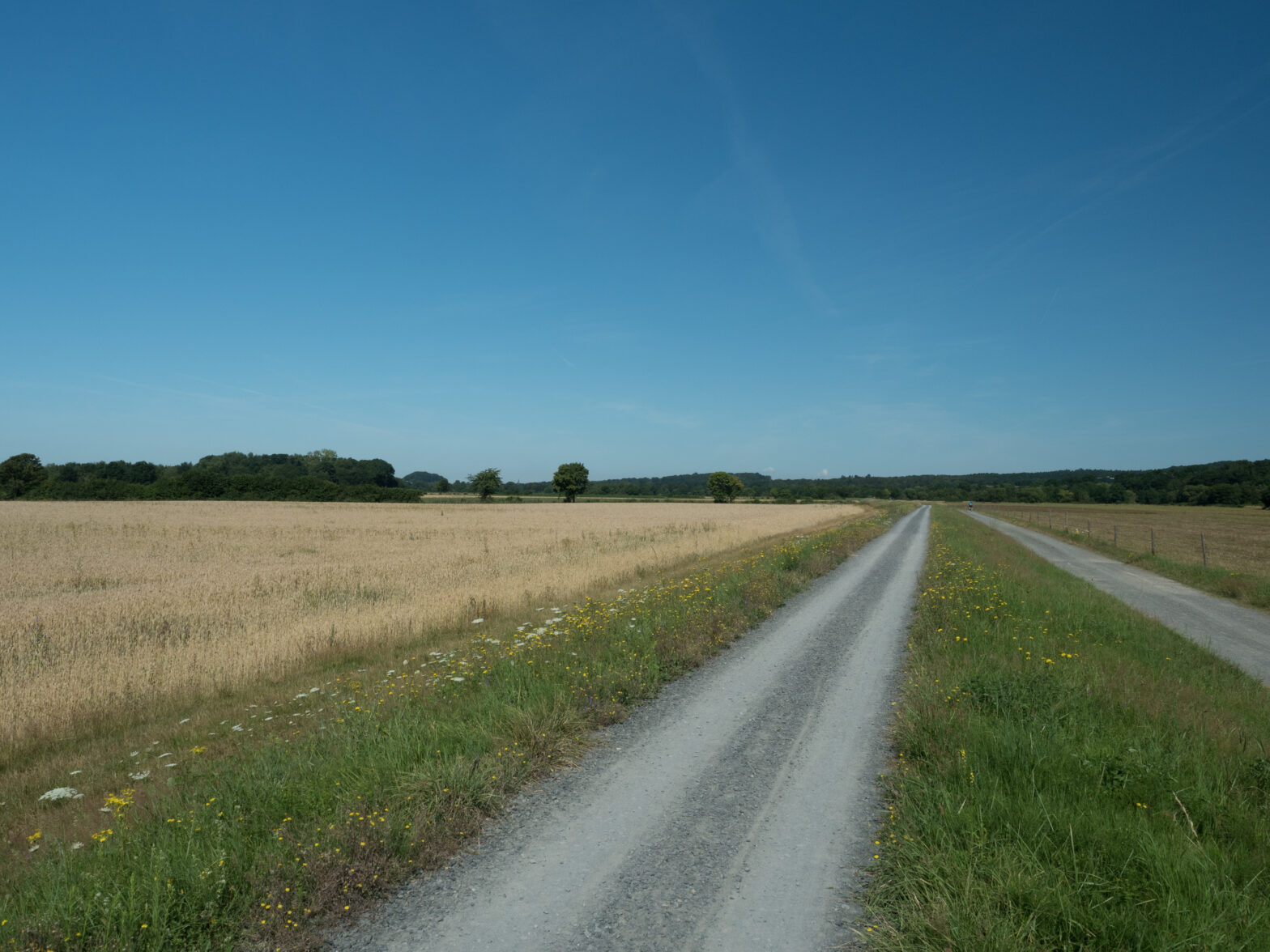 Siegtalradweg